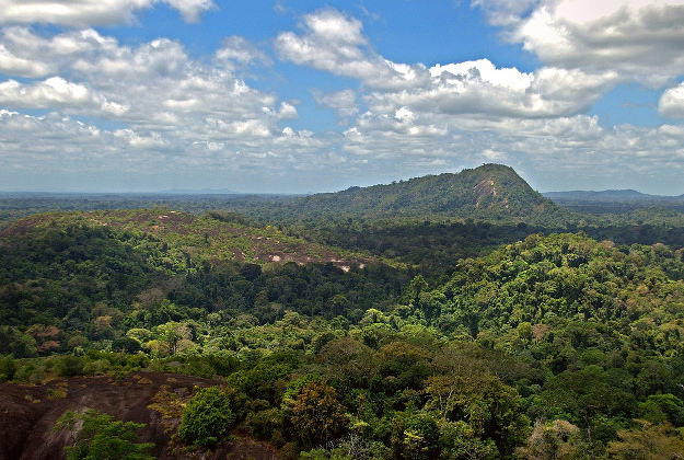 Brazil politicians are looking at 'nationalising' the Amazon in a bid to protect its resources