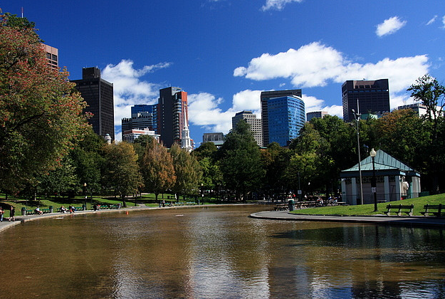 Boston Common frog pond.