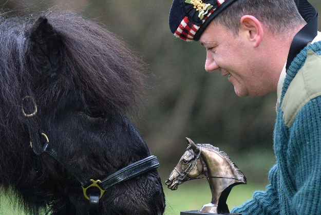 Major Corporal Mark Wilkinson with Cruachan III, a Shetland pony who has been given a top honour in recognition of his long career "brightening the lives of so many people". 