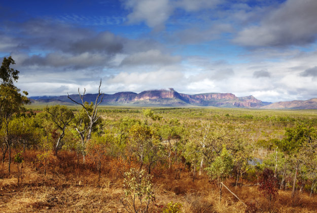 A drover looking out onto the Mount Mulligan mountain range in Queensland, Australia. 